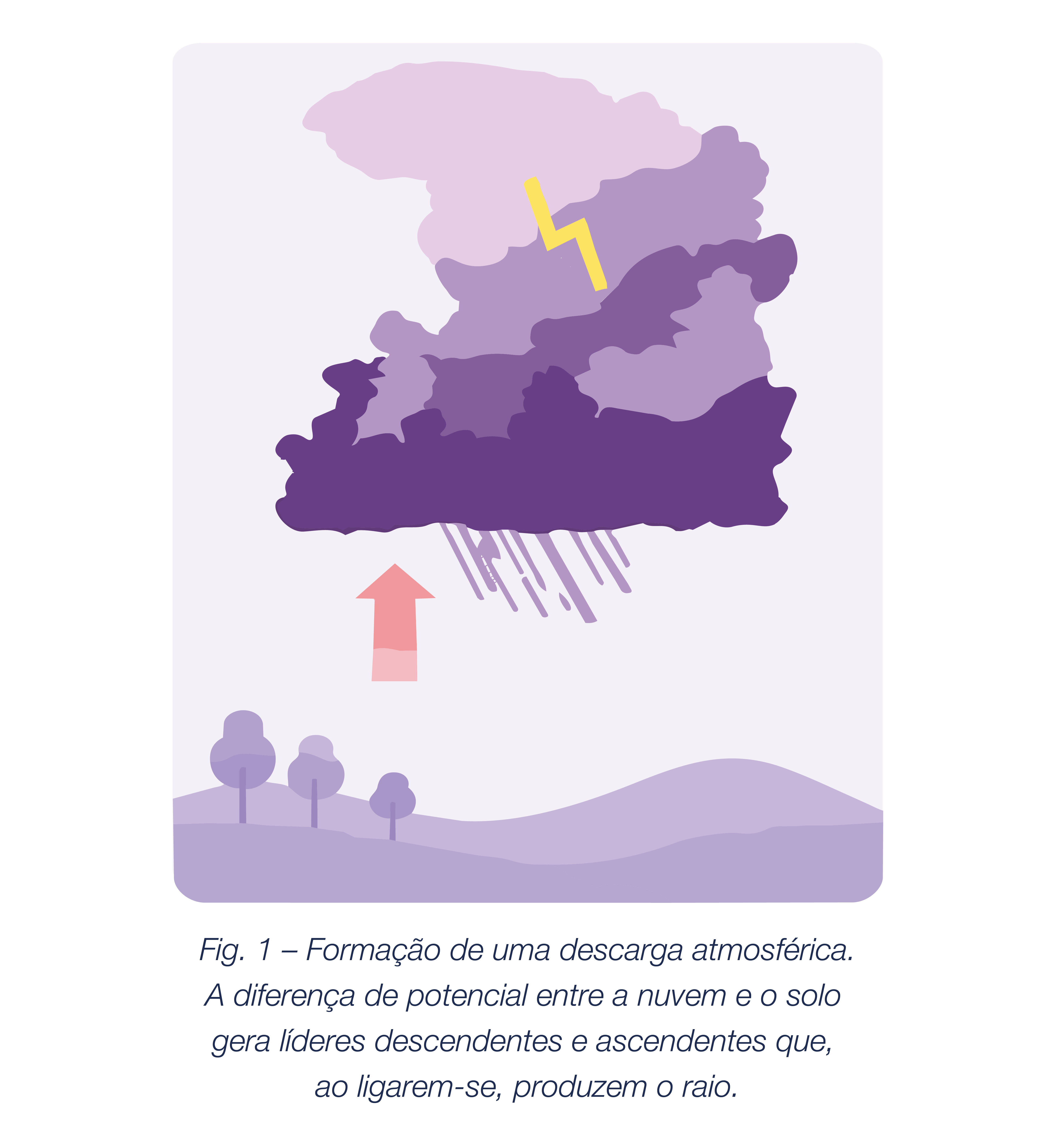 Formação de uma descarga atmosférica: acumulação de cargas na nuvem e traçadores ascendentes desde a superfície